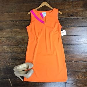 NWT Delancey Shift Dress Size M by SMITH